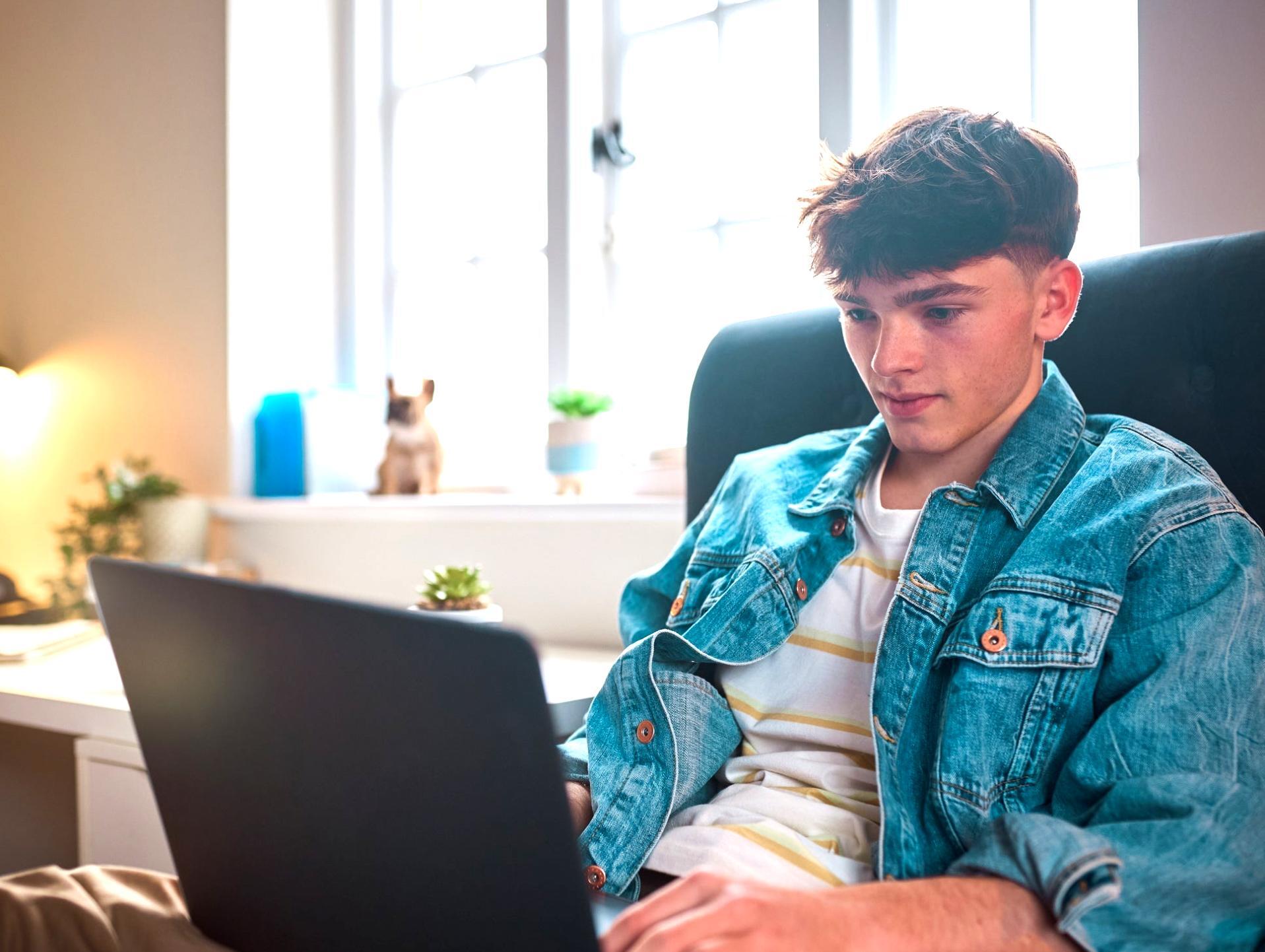 Crystallex — platforma edukacyjna dla przedsiębiorców